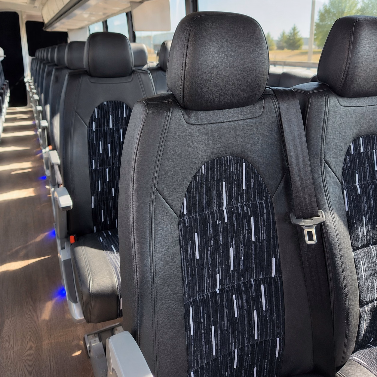 forget yellow school buses upgrade your jacksonville field trip experience